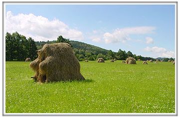 PAROWOZOWNIA
