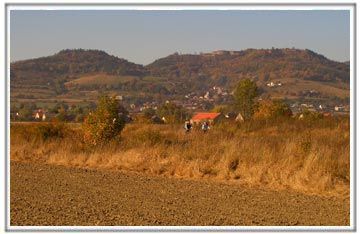 PAROWOZOWNIA